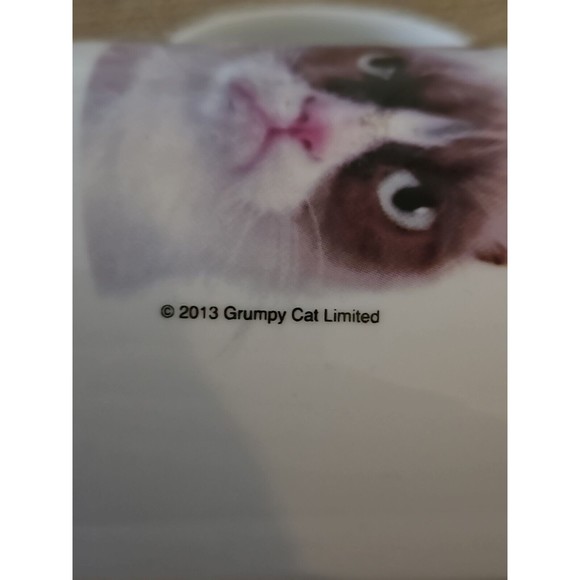 Grumpy Cat Coffee Mug - Picture 2 of 4